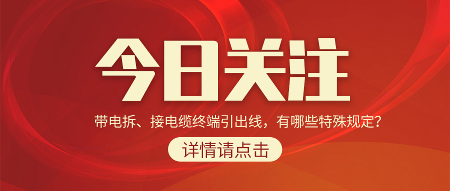 带电拆、接电缆终端引出线，有哪些特殊规定？